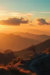 Documentaries on IPTV