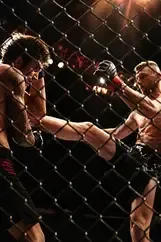 UFC and combat sports on IPTV